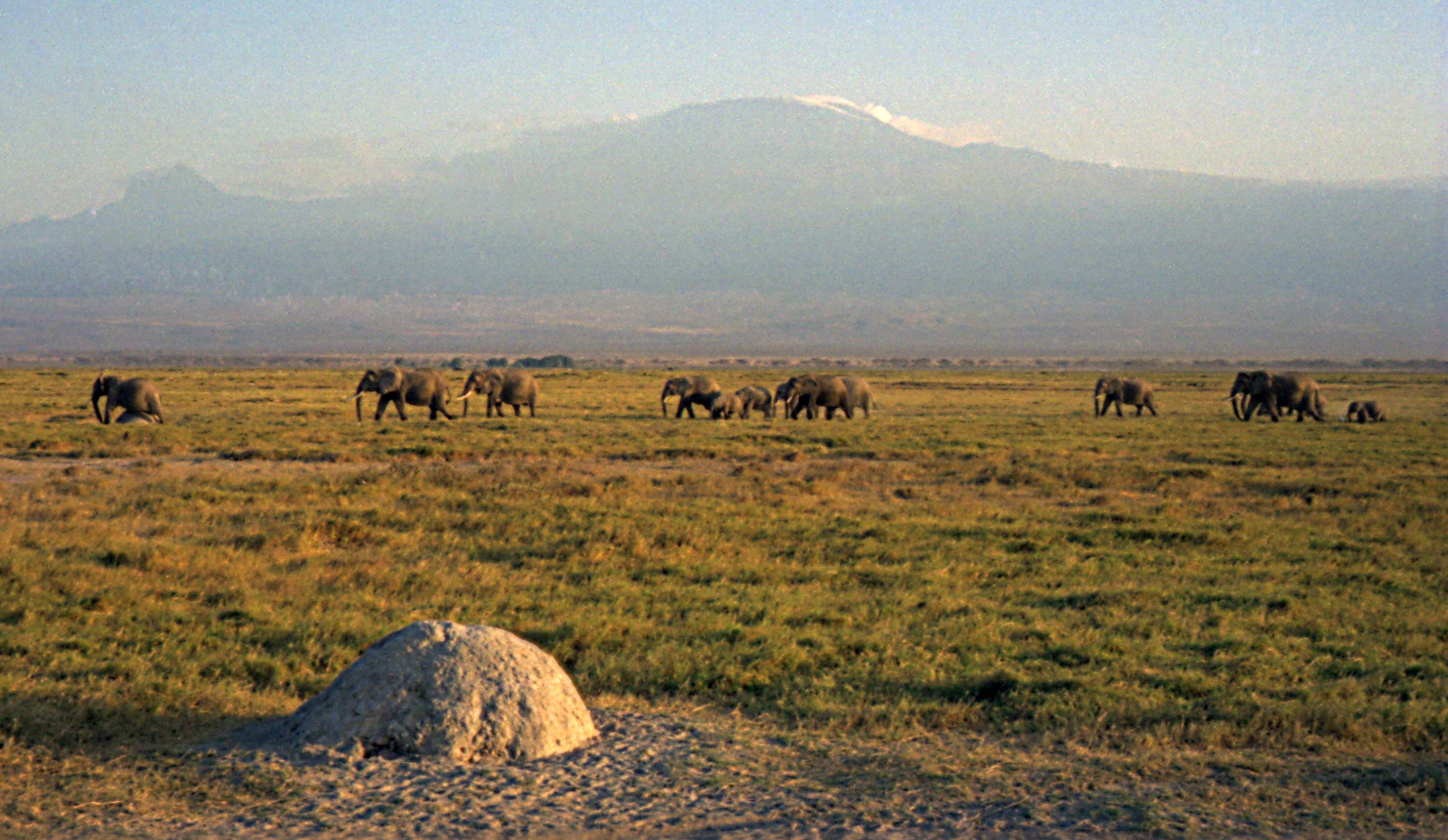 The best time to climb Mount Kenya (and when the safari seasons peak)