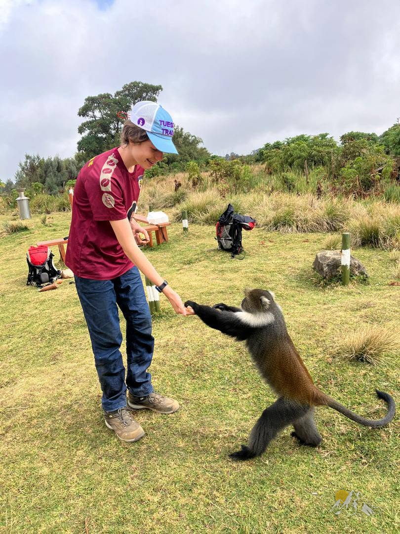 Trekking mountkenya with kids