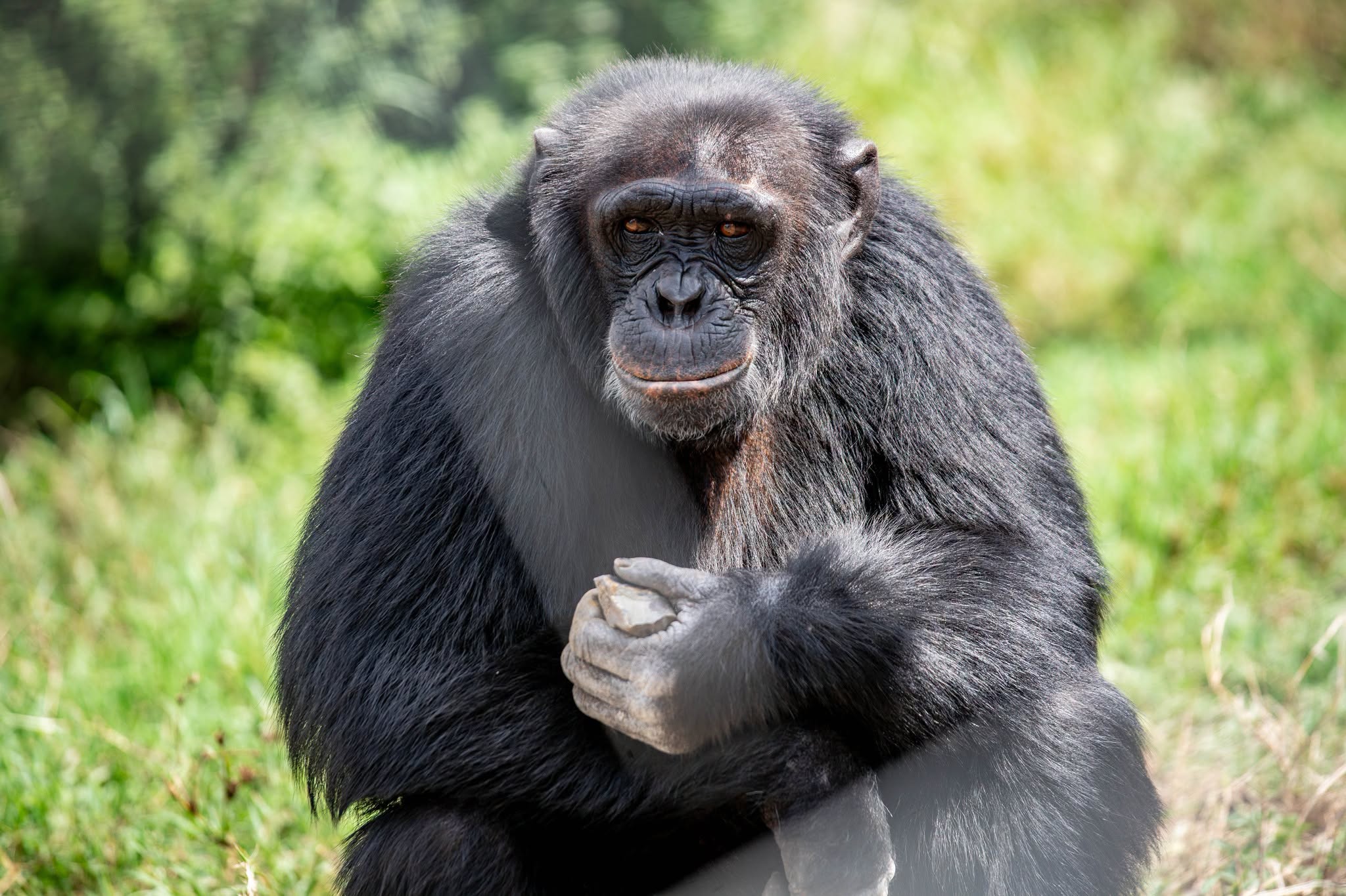 Ol Pejeta Conservancy