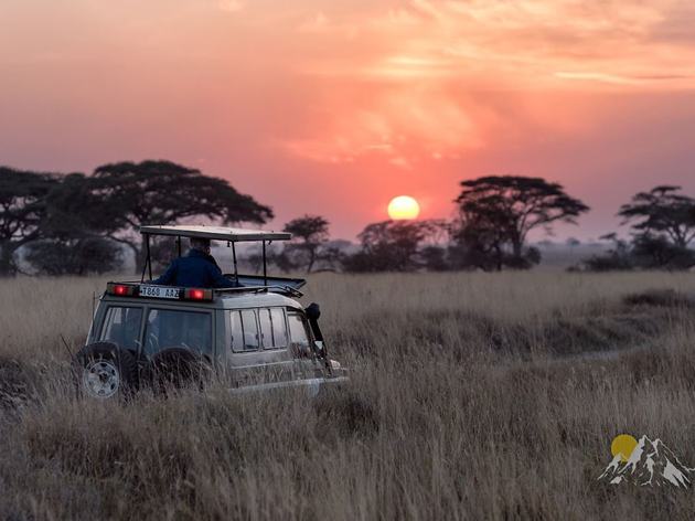Tanzania wildlife safari