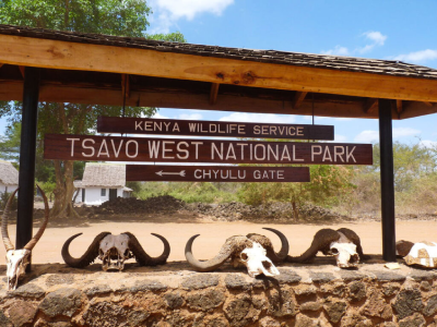 Tsavo National Park Adventure