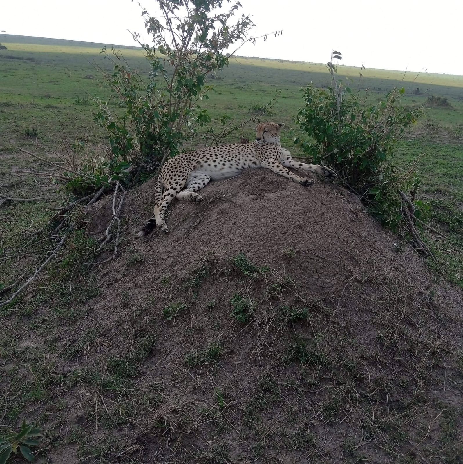 Nairobi to Samburu National Reserve