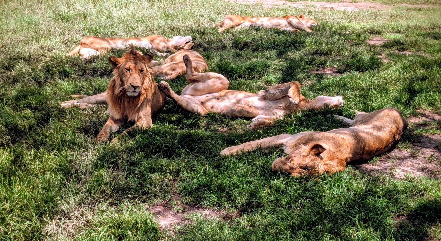 Nairobi to Maasai  Mara