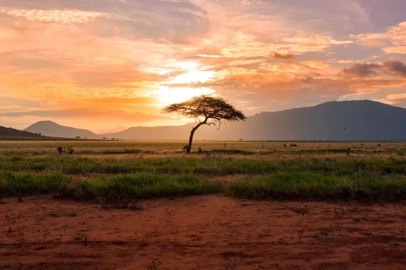 Serengeti Great Migration Camping Safari in 5 Days