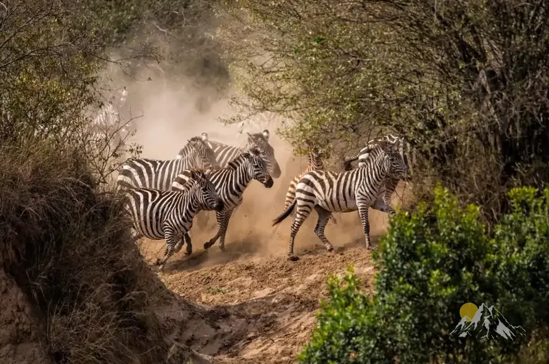Samburu national reserve