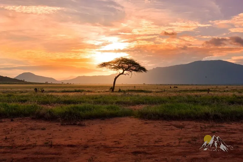 Serengeti Great Migration Camping Safari in 5 Days