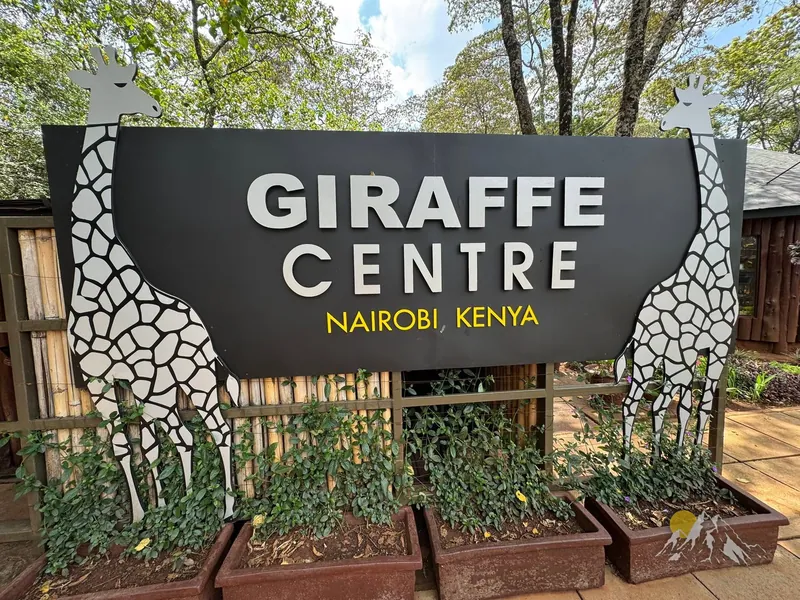 1 Day - Nairobi City Tour (Elephant Orphanage, Giraffe Center, Karen Blixen Museum) Tour Gallery (92) 3