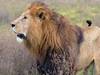 15 Days Kenya, Tanzania & Zanzibar Grand Tour Tour Gallery (85) 1