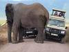15 Days Kenya, Tanzania & Zanzibar Grand Tour Tour Gallery (85) 2