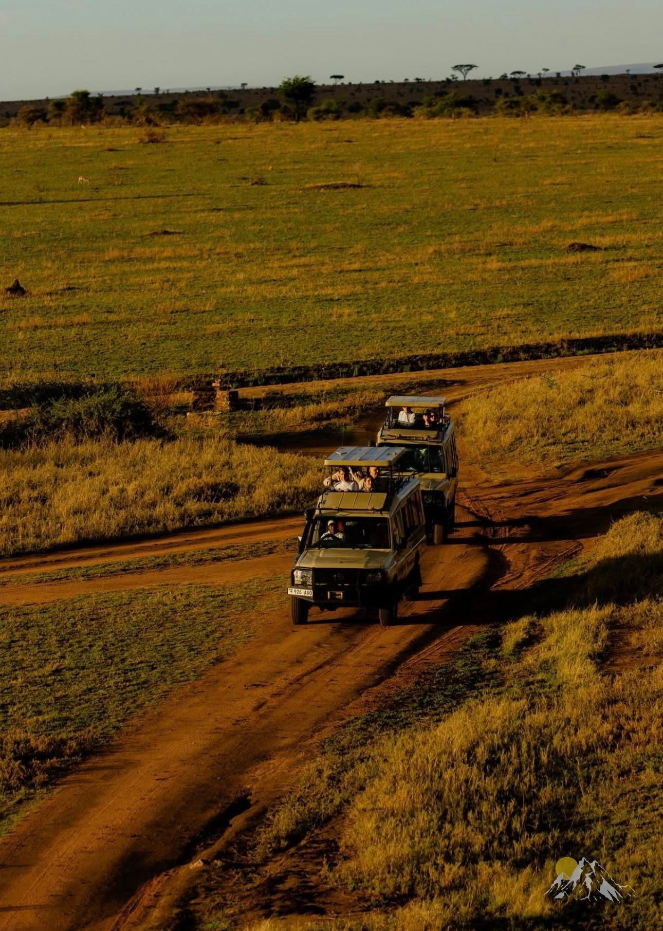 12 Days Kenya & Tanzania Classic Safari Tour Gallery (84) 1