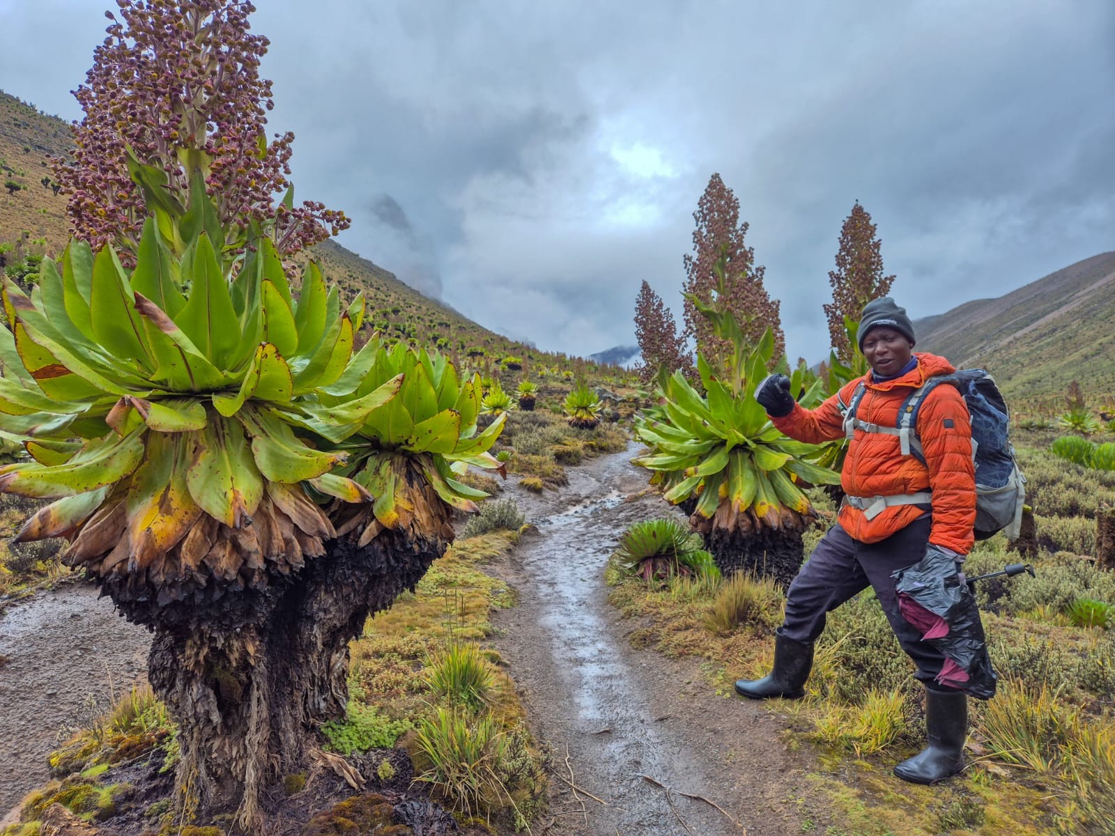 Mount Kenya Naro Moru Express Tour Gallery (4) 3
