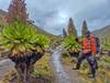 Mount Kenya Naro Moru Express Tour Gallery (4) 3