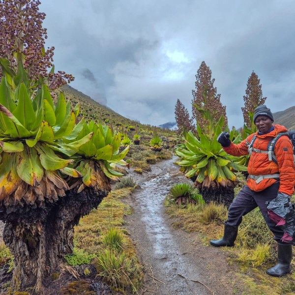 Mount Kenya Naro Moru Express Tour Gallery (4) 3