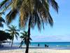 5 Days Diani Beach & Kisite Marine Park Tour Gallery (88) 2