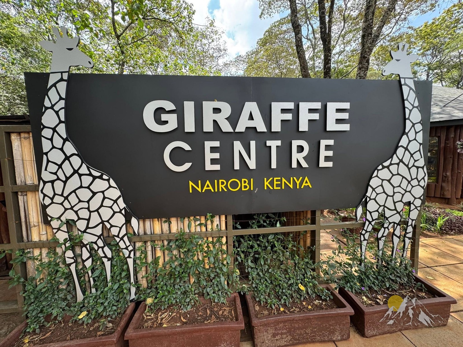 1 Day - Nairobi City Tour (Elephant Orphanage, Giraffe Center, Karen Blixen Museum) Tour Gallery (92) 3
