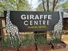 1 Day - Nairobi City Tour (Elephant Orphanage, Giraffe Center, Karen Blixen Museum) Tour Gallery (92) 3