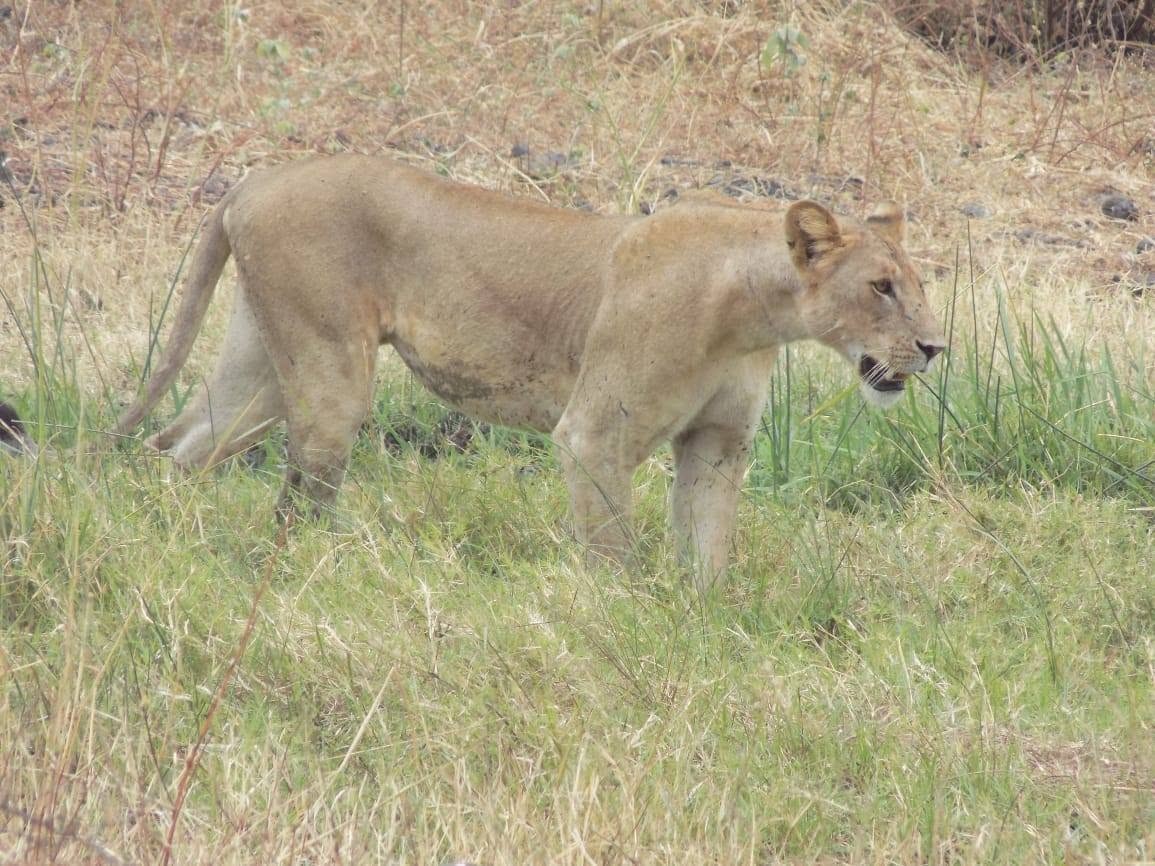 13 Days 12 nights Kenya wildlife holiday tour-family holiday safari Tour Gallery (75) 2