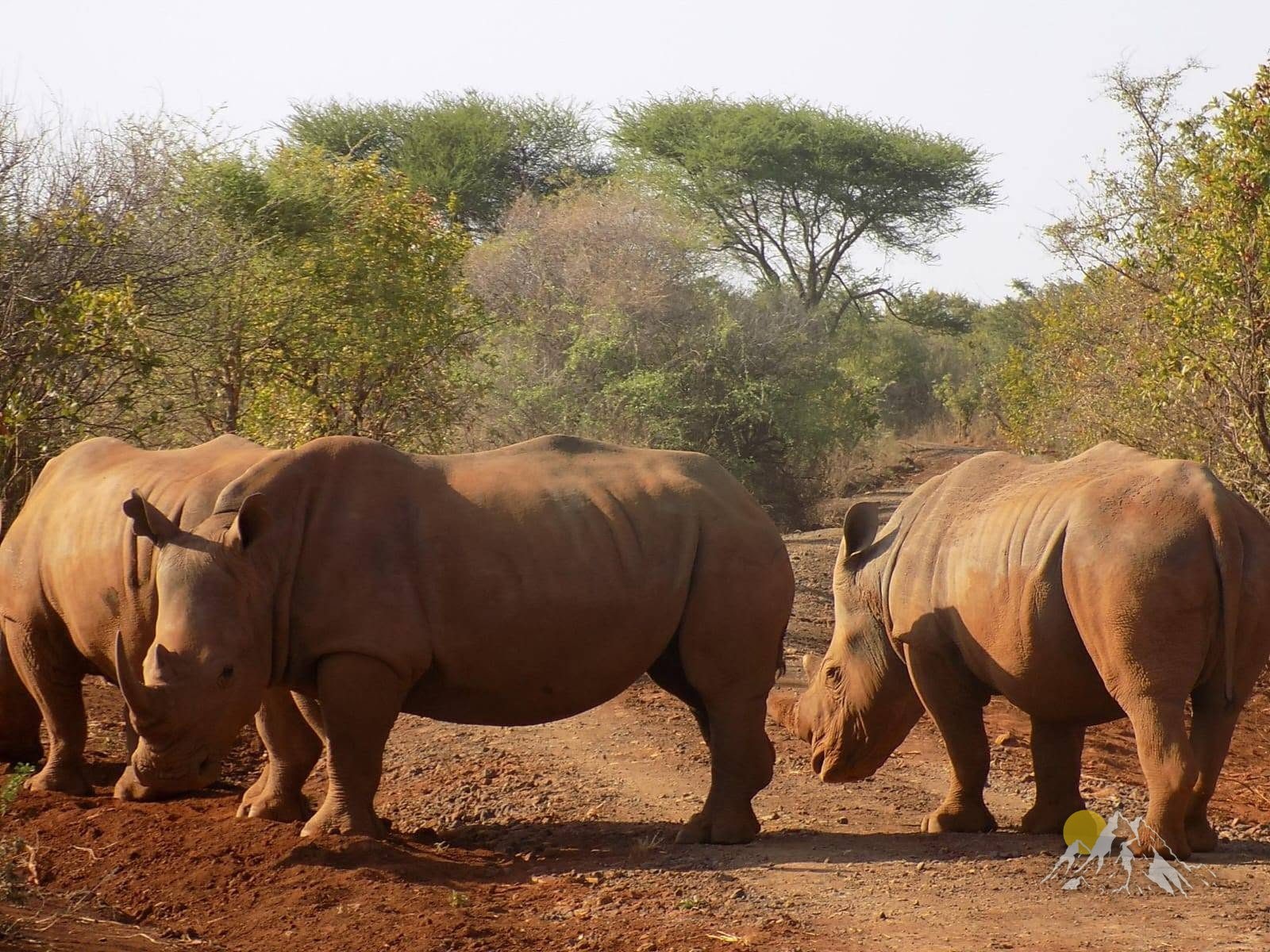 13 Days 12 nights Kenya wildlife holiday tour-family holiday safari Tour Gallery (75) 3