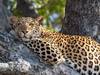 3-day Masai Mara lodge safari Tour Gallery (72) 2