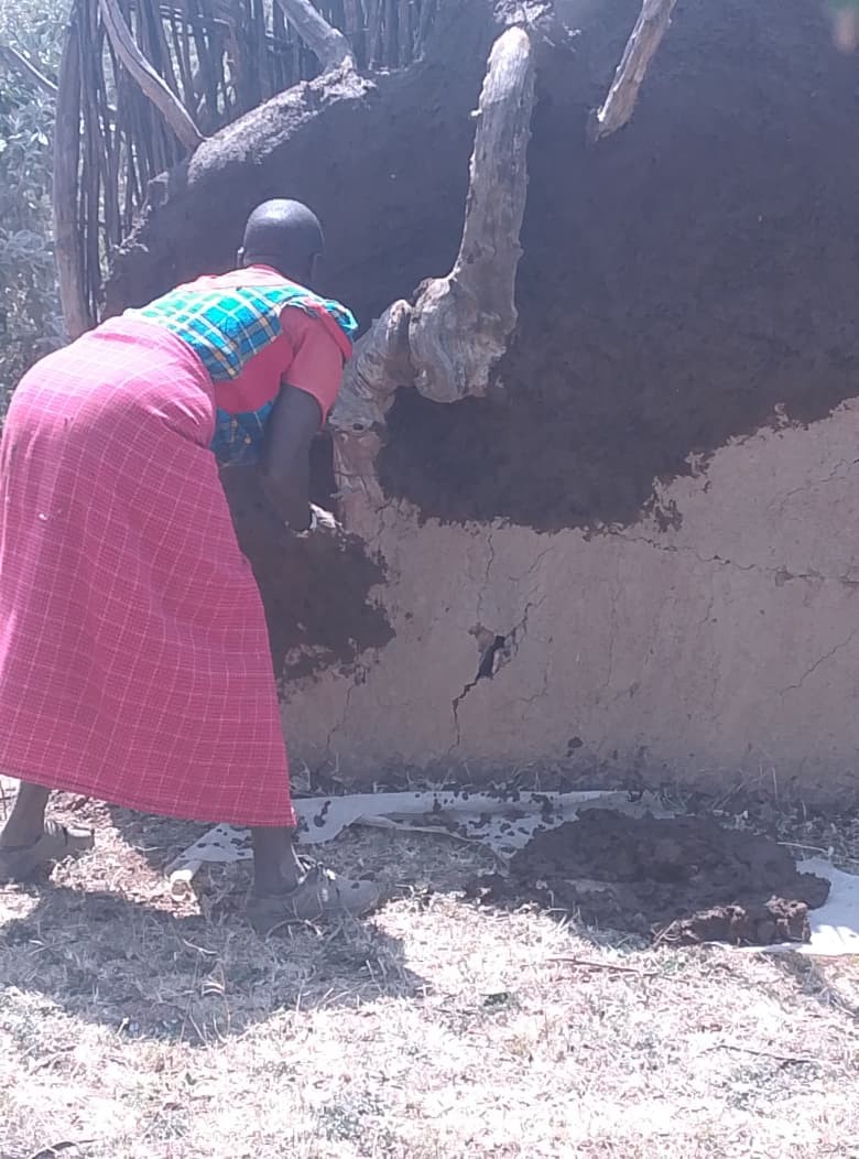 5 days maasai culture-loita osupuko hike and maasai mara game safari Tour Gallery (79) 1
