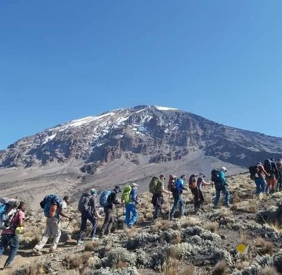 6-Days machame route-mweka-kilimanjaro Tour Gallery (89) 2