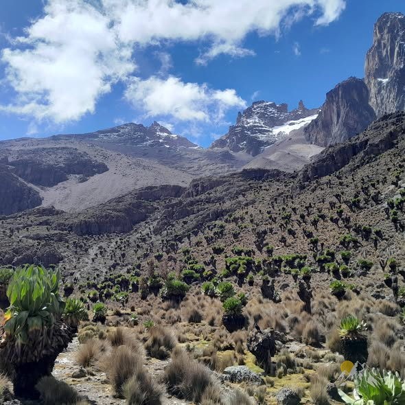 Point Lenana Summit Trek Tour Gallery (1) 1