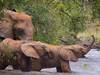 3 Day mountkenya and overnight at Ol pejeta Safari Tour Gallery (74) 2