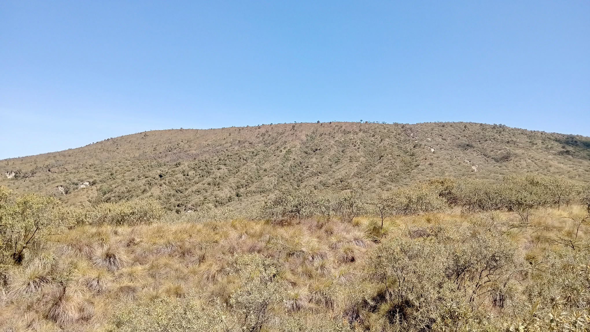 Day trip hiking tour to Mount Longonot National Park Tour Gallery (91) 3