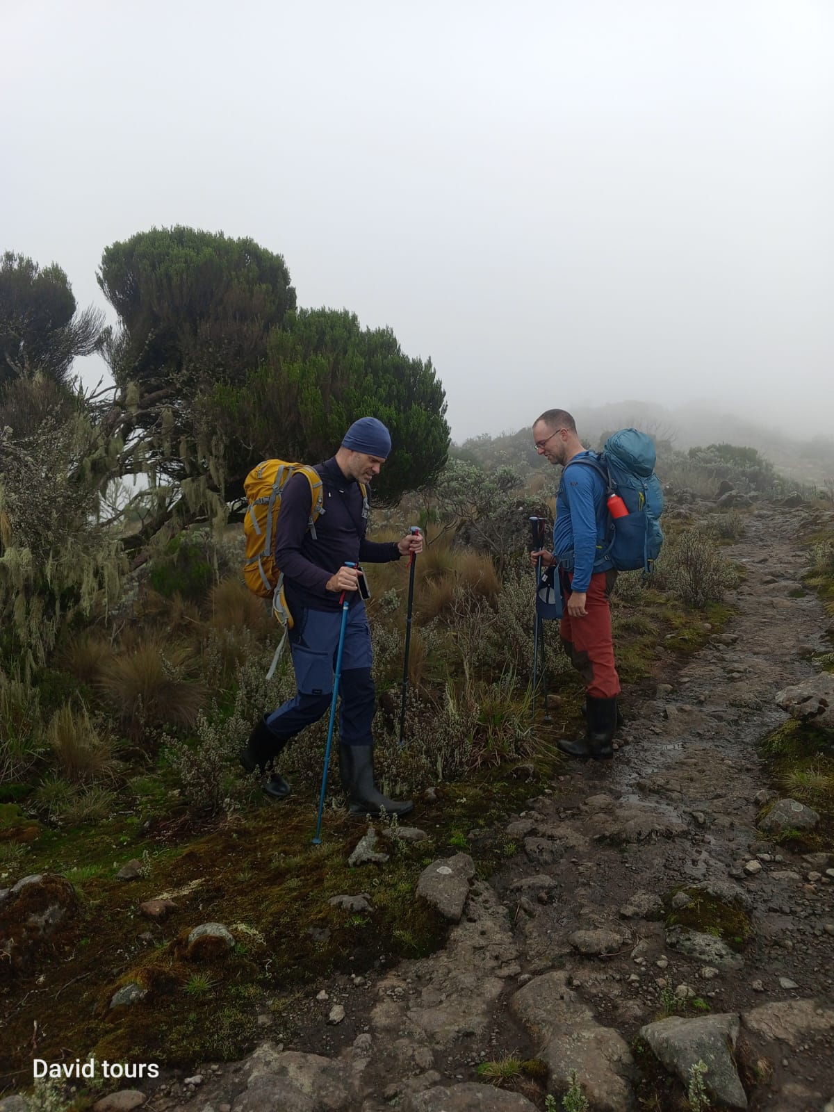 4 Days-Mountkenya climb Naromoru trail-Sirimon route