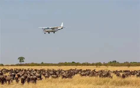 Kenya Luxury Fly-In Safari: Masai Mara & Samburu