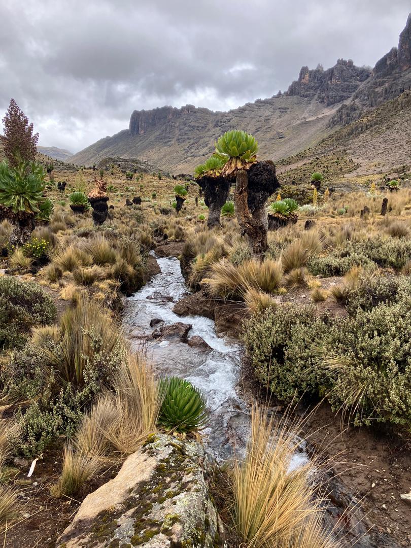 Mount Kenya Technical Climb - Batian