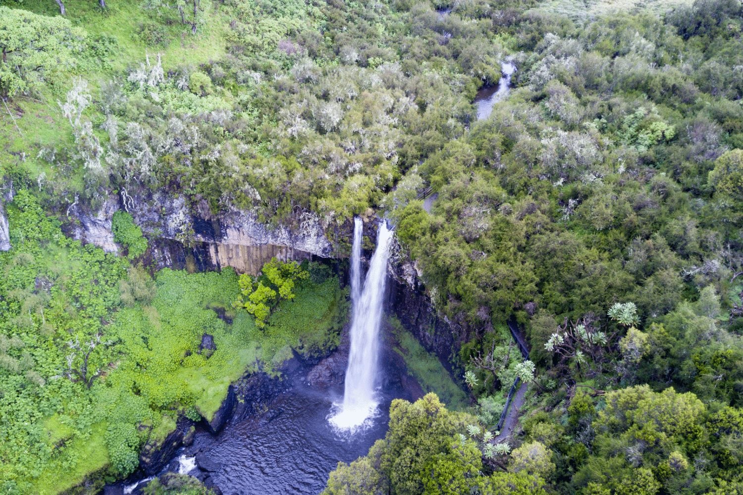 Aberdare Waterfalls Trek