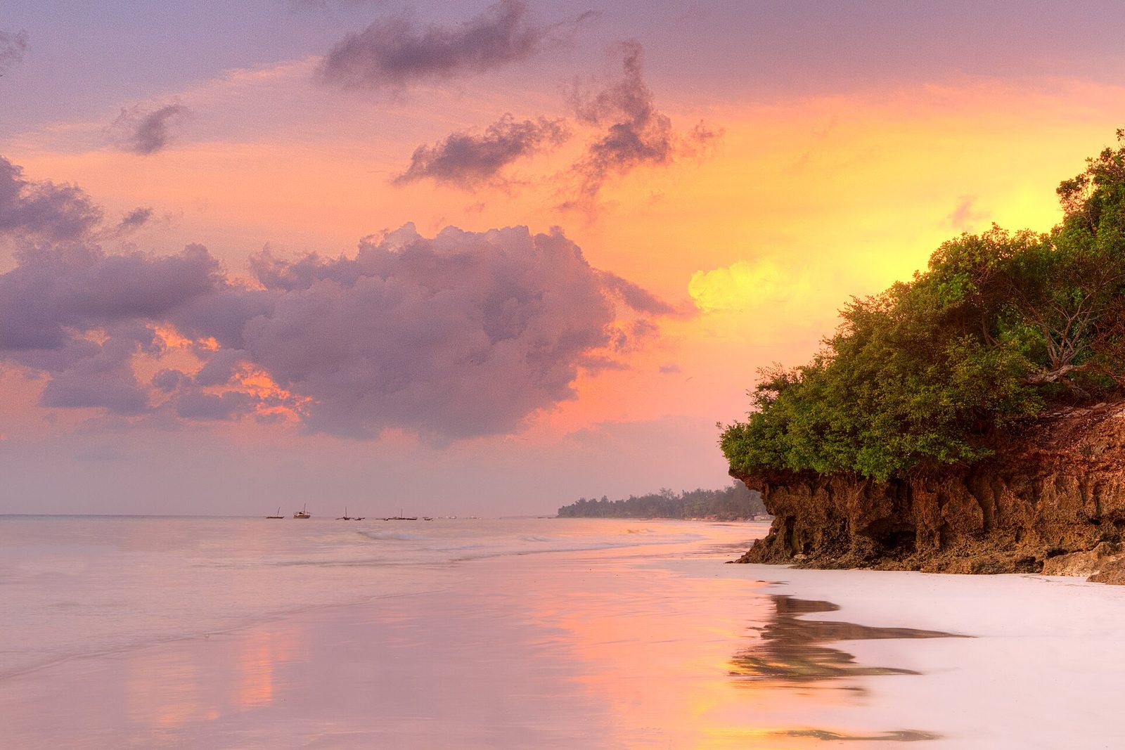 5 Days Diani Beach & Kisite Marine Park