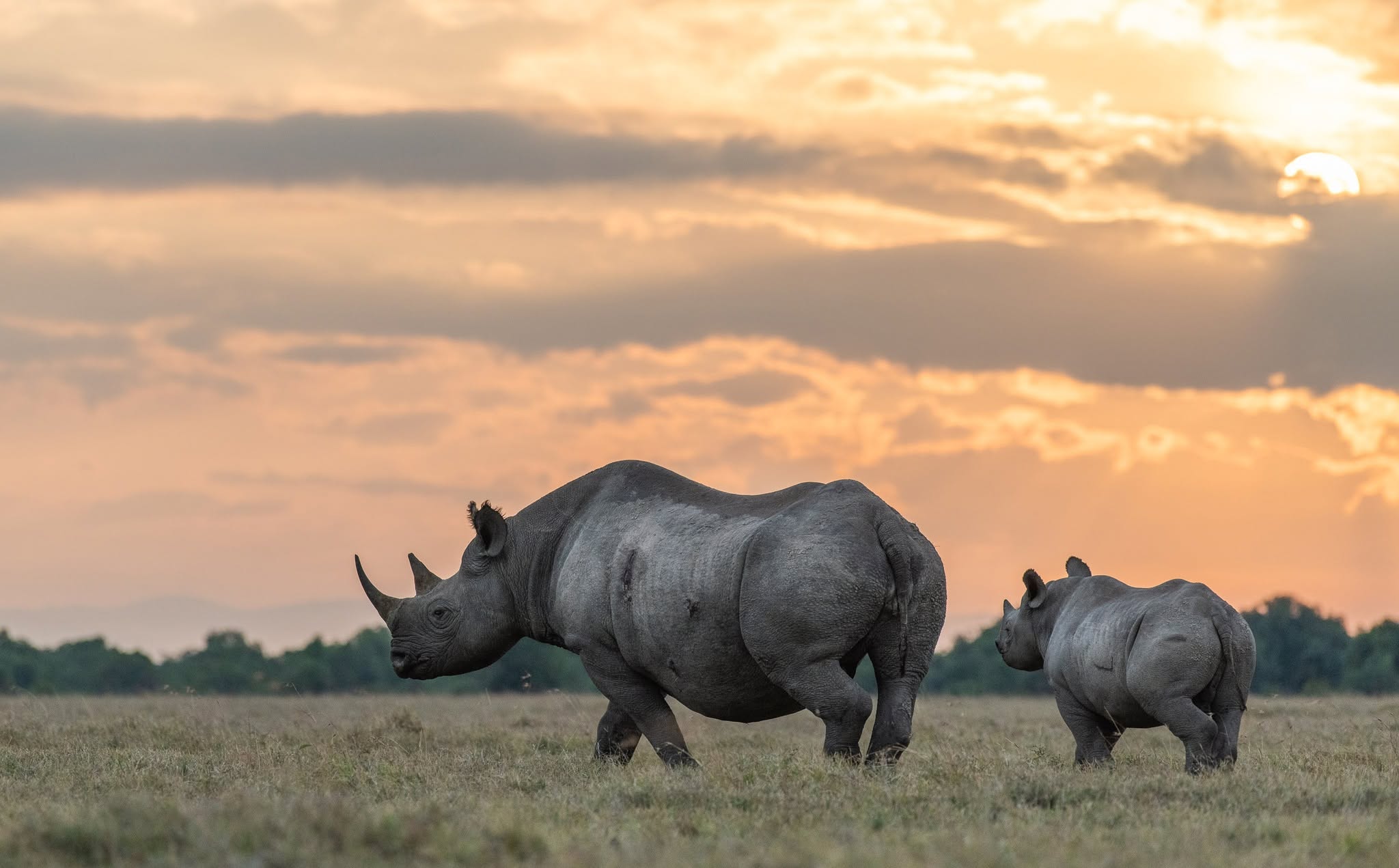 3 Days mountkenya and overnight at Ol pejeta Safari