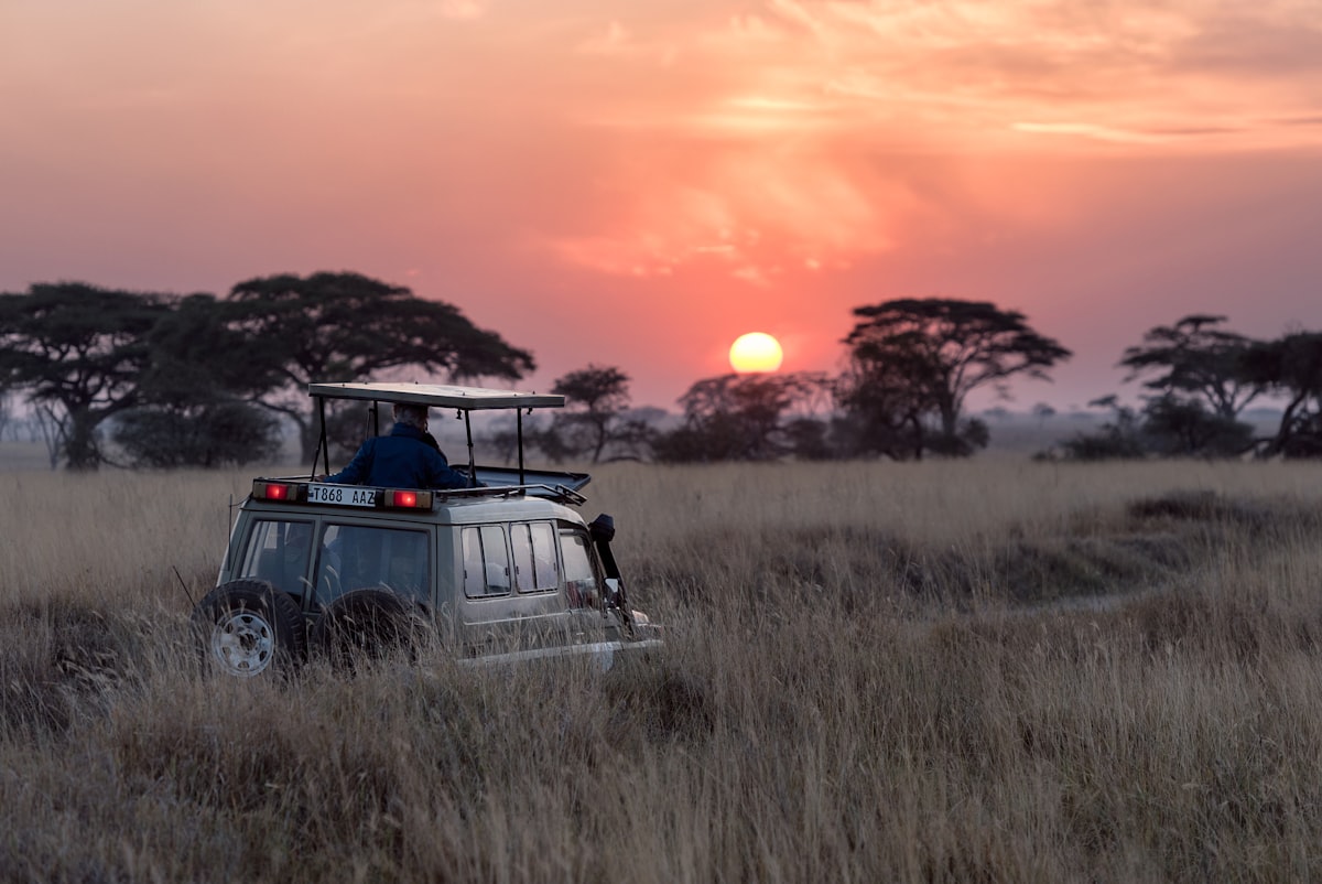 12 Days Kenya & Tanzania Classic Safari