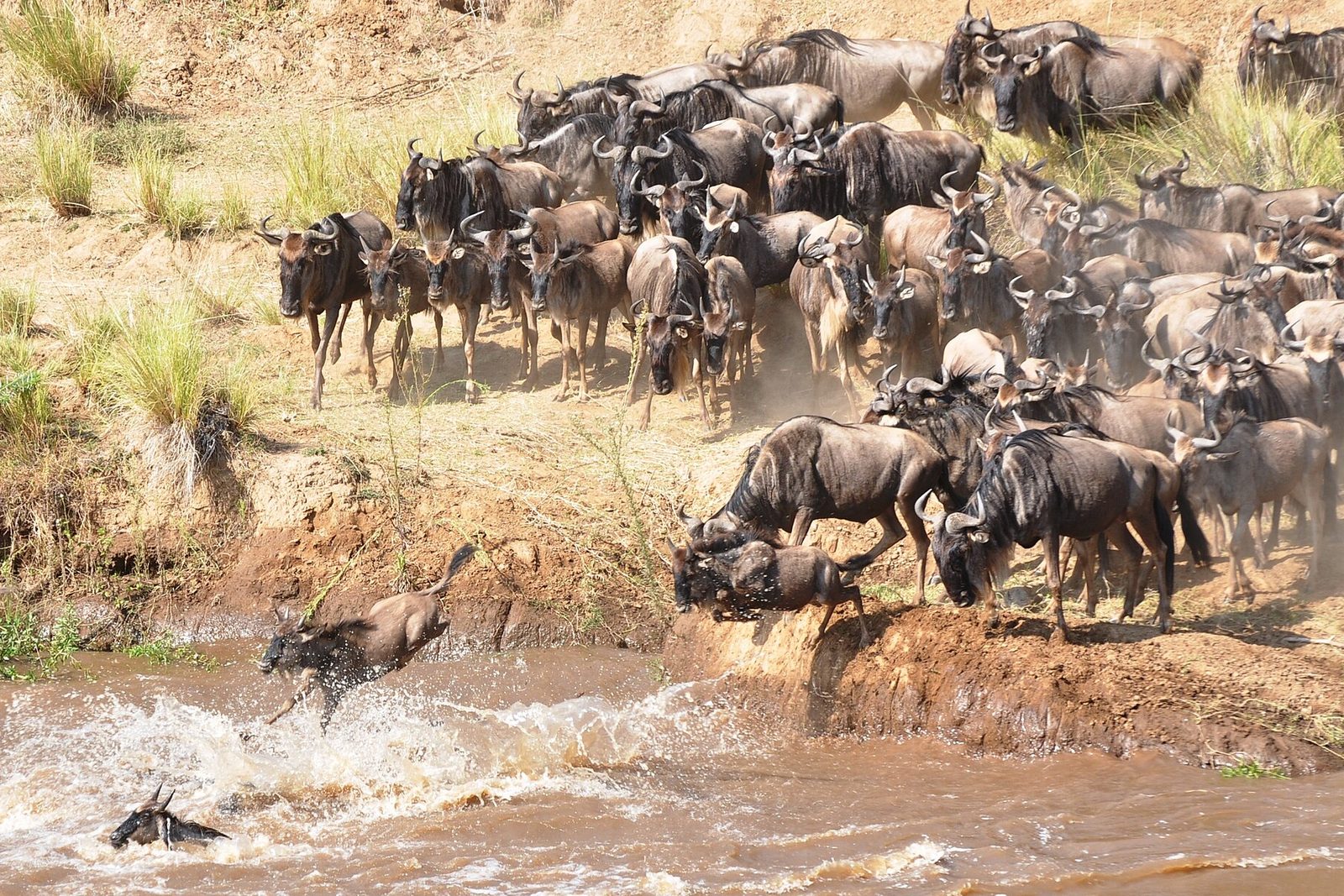 15 Days Kenya, Tanzania & Zanzibar Grand Tour